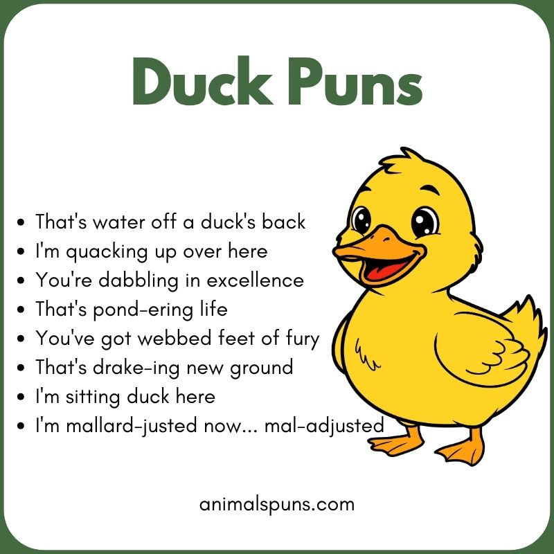 Duck Puns for Instagram Captions: duck pun illustration