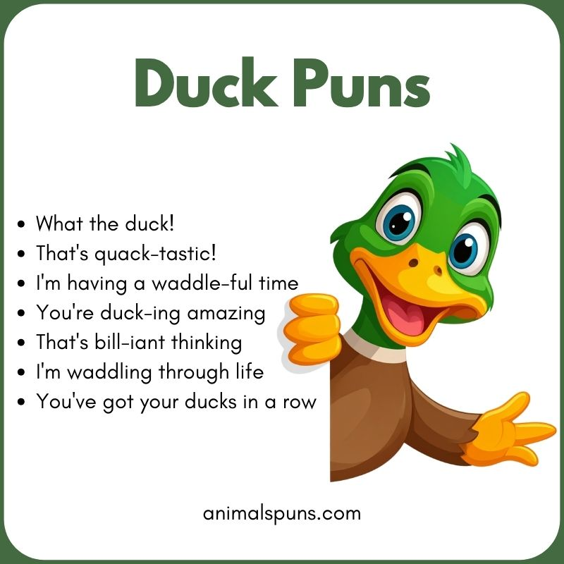 Short Duck One-Liners: duck pun illustration