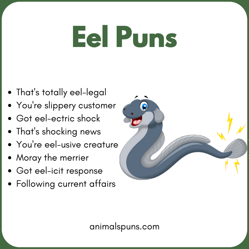 Short One-Liner Eel Puns: eel pun illustration