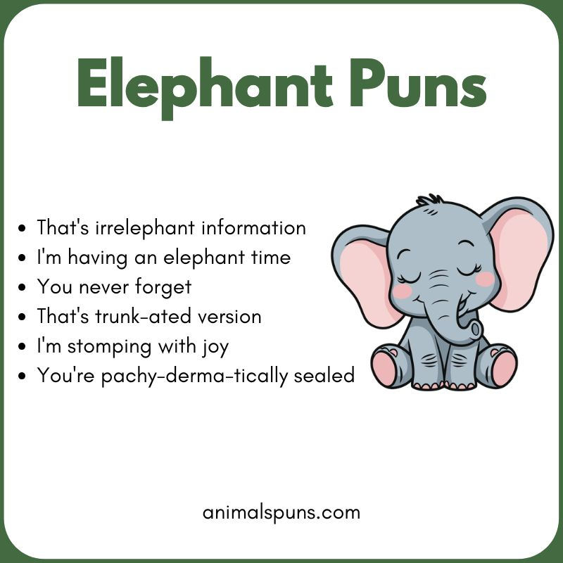 Short One-Line Elephant Puns: elephant pun illustration