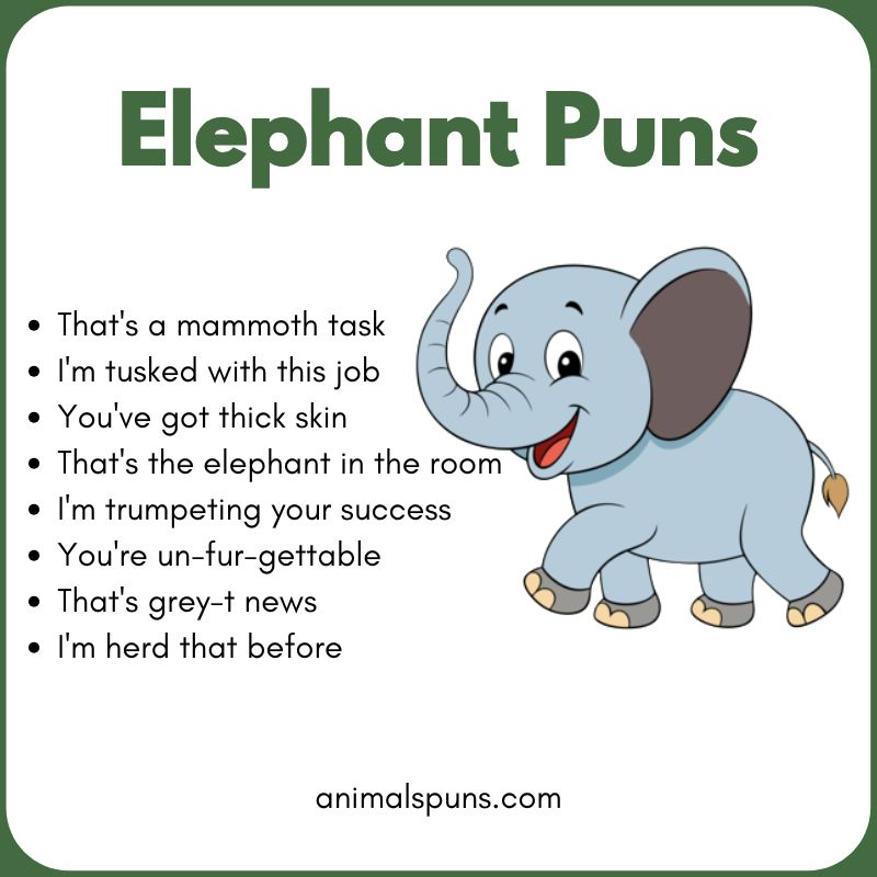 Best Elephant Puns of All Time 🐘: elephant pun illustration