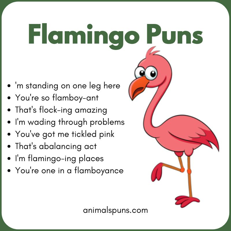 Best Flamingo Puns of All Time: flamingo pun illustration