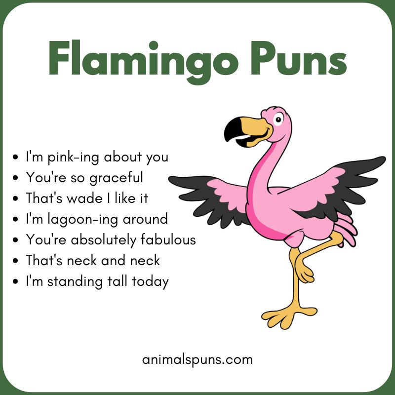 Short One-Liner Flamingo Puns: flamingo pun illustration