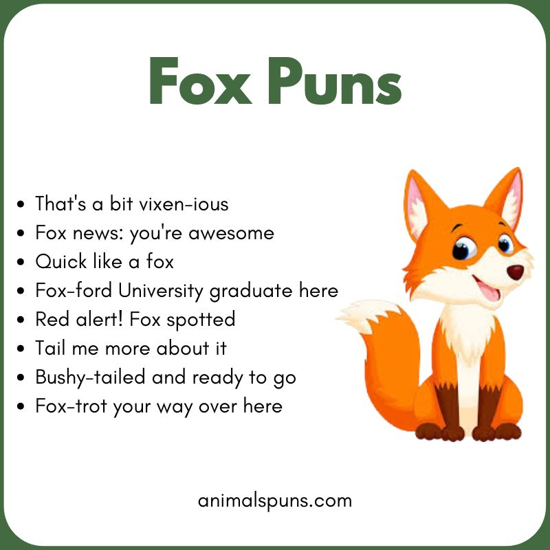 Cute Fox Puns for Kids: fox pun illustration