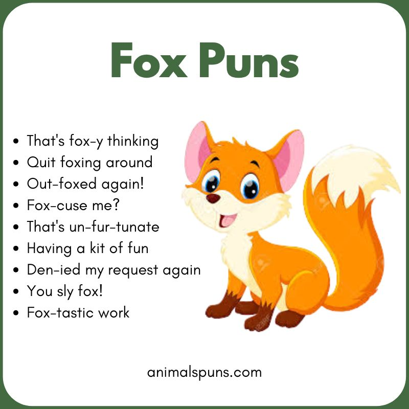 Short Fox One-Liners: fox pun illustration