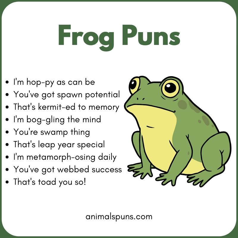 Best Funny & Cute Frog Puns of All Time: frog pun illustration