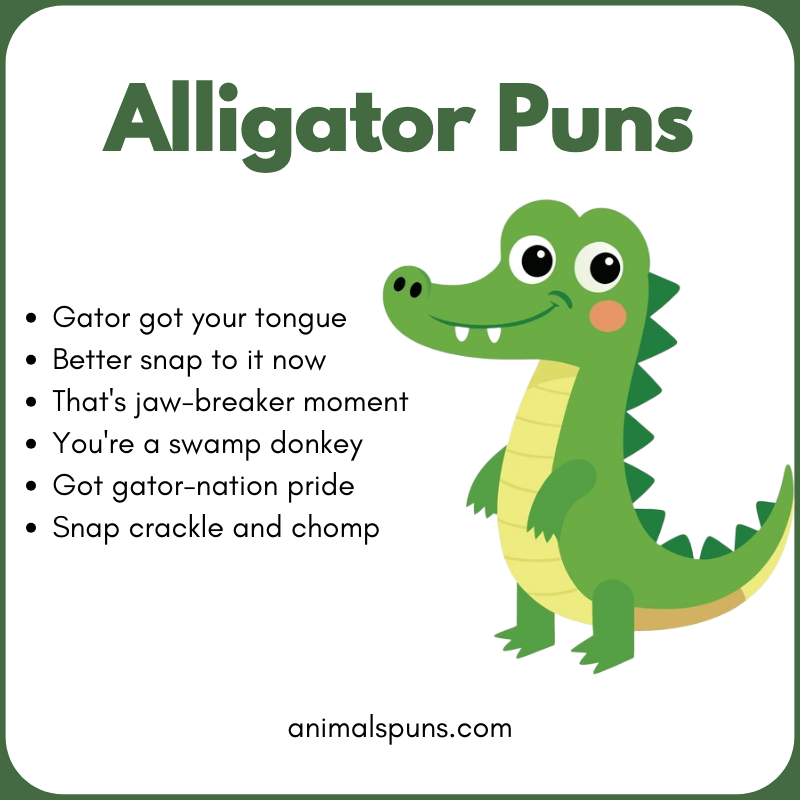 Cute Alligator Puns for Kids: alligator pun illustration
