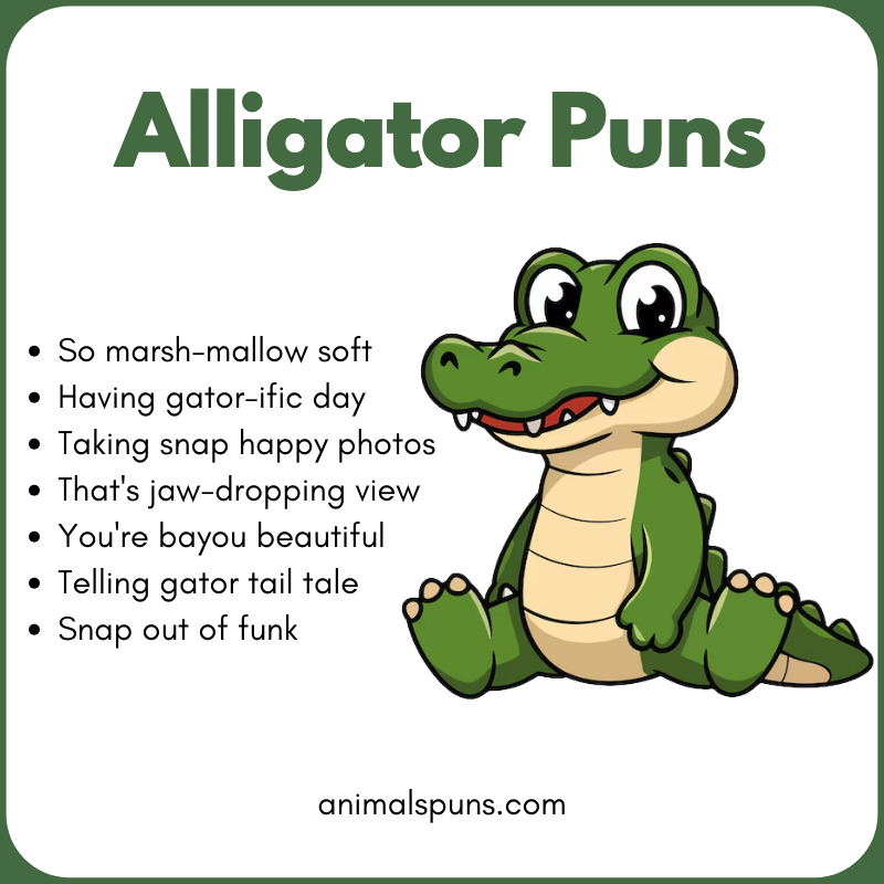 Funny Alligator One-Liners: alligator pun illustration