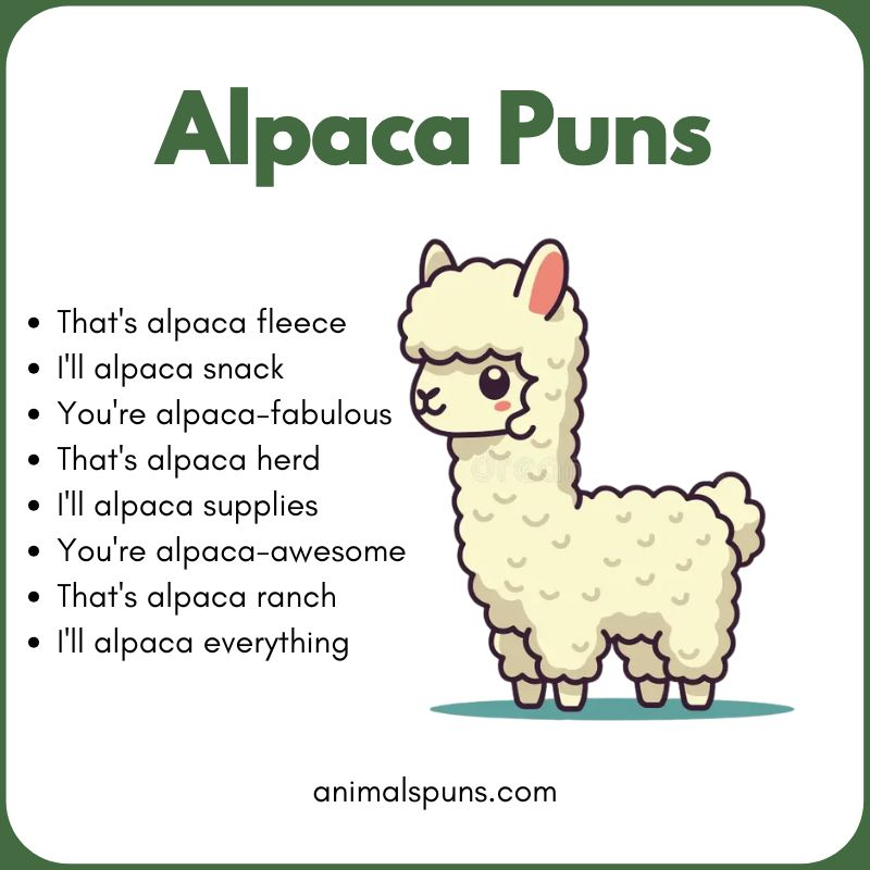 Short One-Liner Alpaca Puns: alpaca pun illustration