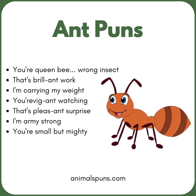 One-Liner Ant Puns: ant pun illustration