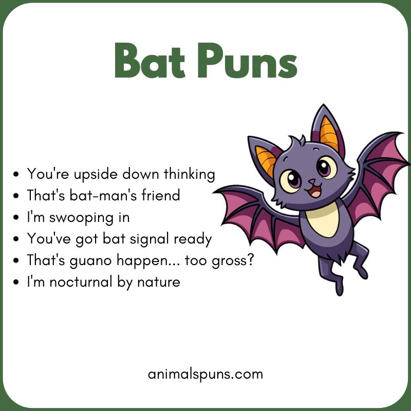 Funny Bat One-Liners: bat pun illustration