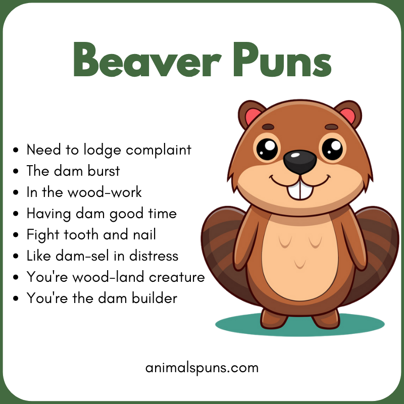 Cute Beaver Puns for Animal Lovers 🦫: beaver pun illustration