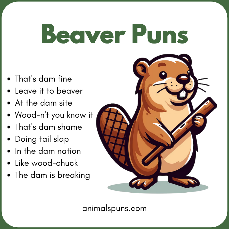 Best Beaver Puns of All Time 🦫: beaver pun illustration