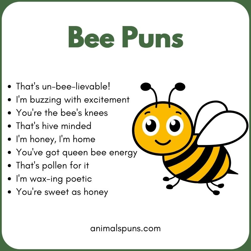 Best Bee Puns of All Time: bee pun illustration