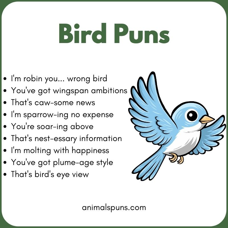 Best Bird Puns of All Time: bird pun illustration