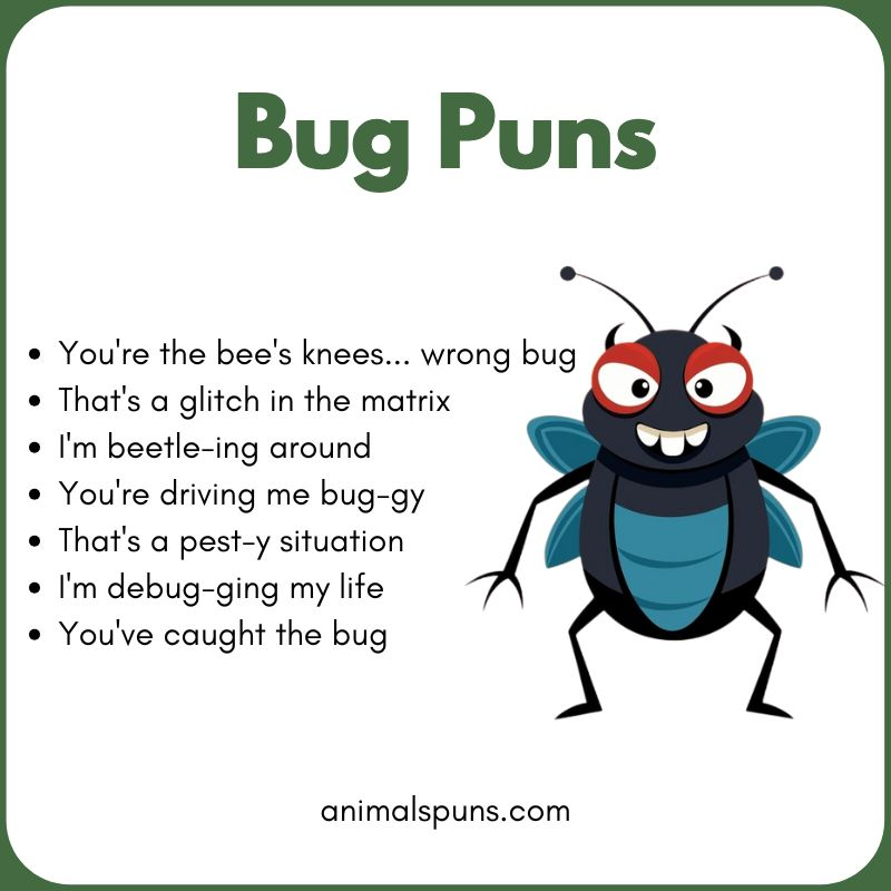 Short One-Liner Bug Puns: bug pun illustration
