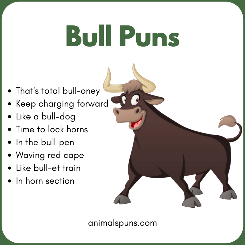 Cute Bull Puns for Kids: bull pun illustration