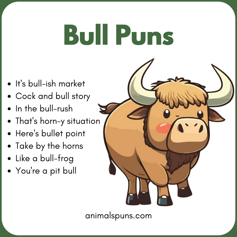 Best Bull Puns of All Time: bull pun illustration