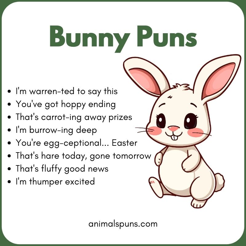 Best Bunny Puns of All Time: bunny pun illustration