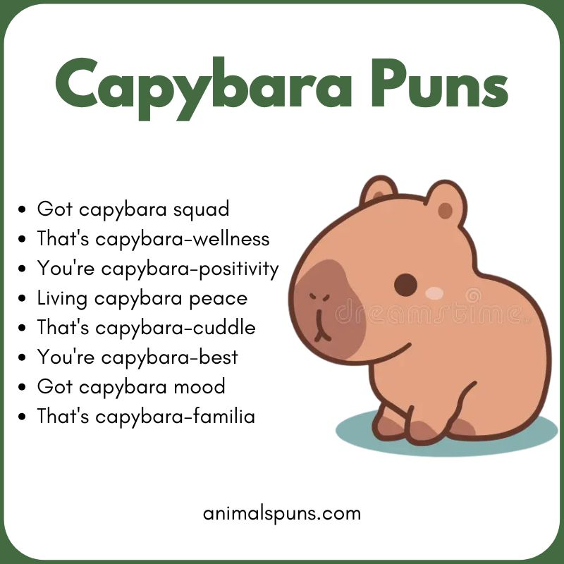 Cute Capybara Puns: capybara pun illustration
