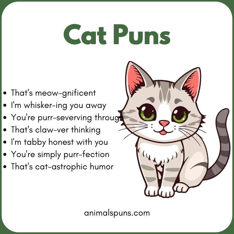 Best Cat Puns of All Time 😺: cat pun illustration