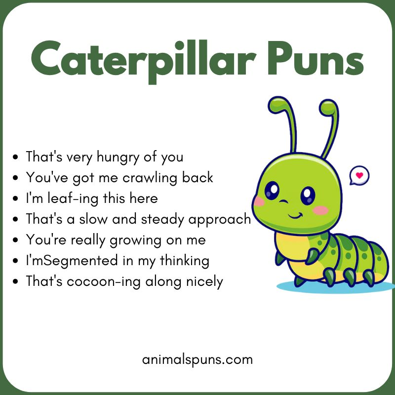 Best Caterpillar Puns of All Time: caterpillar pun illustration