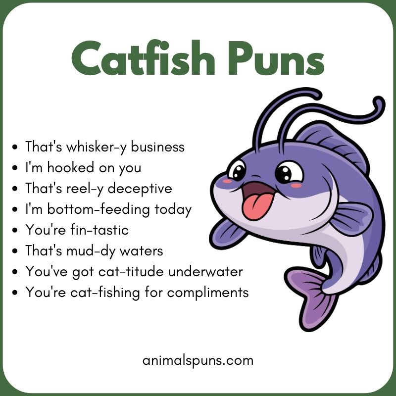 Best Catfish Puns of All Time 🐟: catfish pun illustration