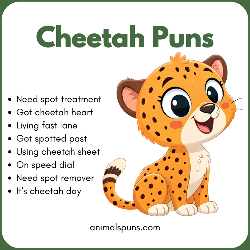 Cute Cheetah Puns: cheetah pun illustration
