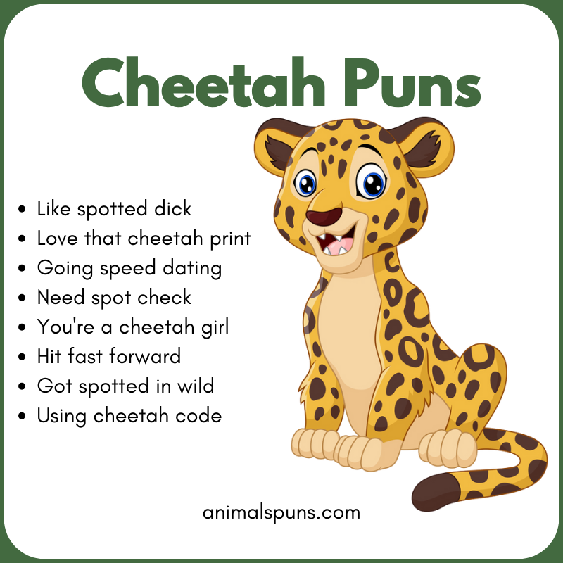 Short One-Line Cheetah Puns: cheetah pun illustration