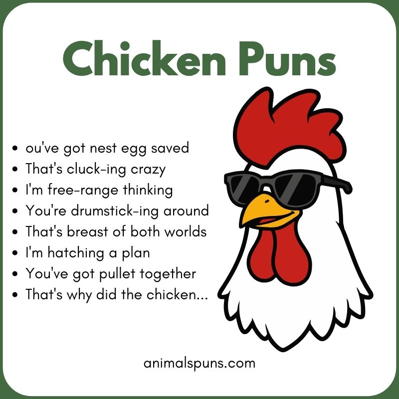 Best Chicken Puns of All Time: chicken pun illustration