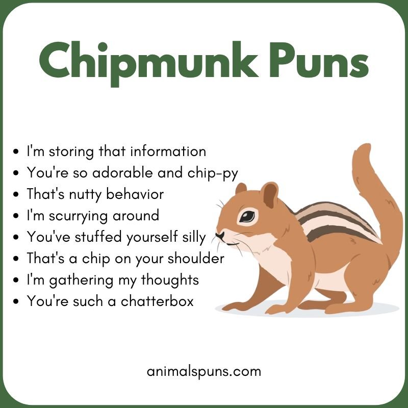 Chipmunk Puns for Instagram Captions: chipmunk pun illustration