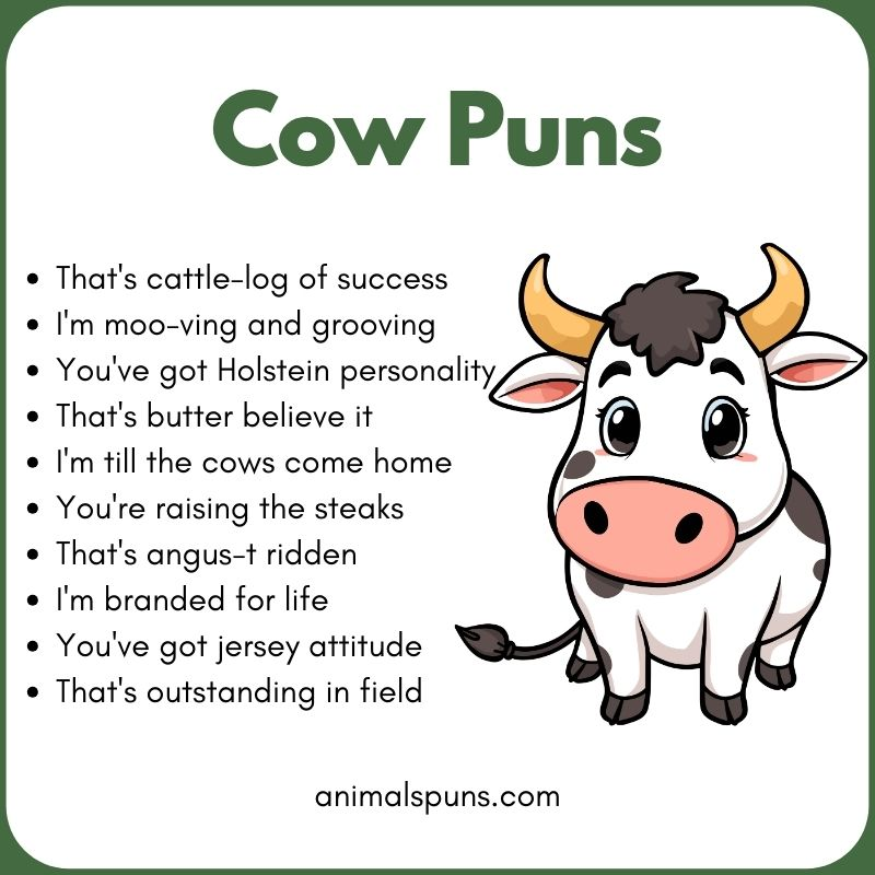 Best Cow Puns of All Time: cow pun illustration