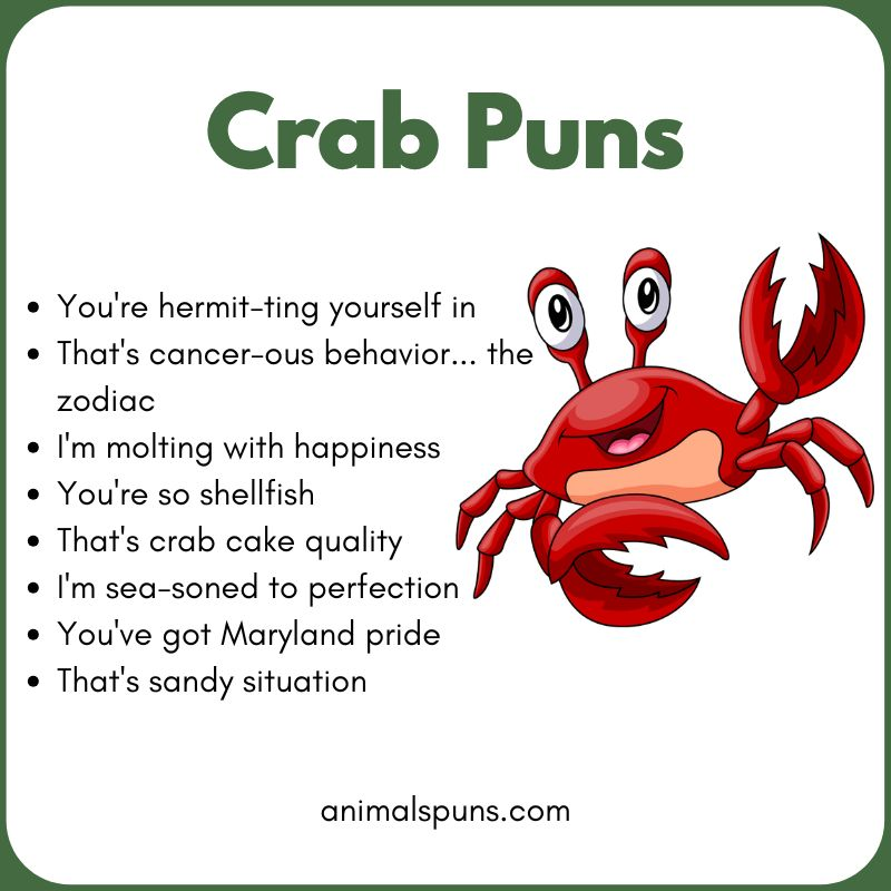 Short One-Liner Crab Puns: crab pun illustration