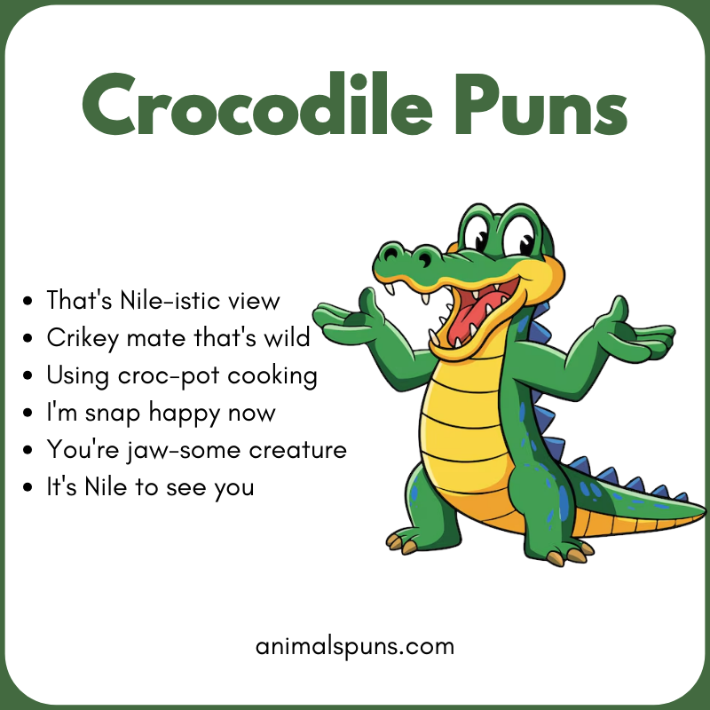Crocodile One-Liner Puns: crocodile pun illustration