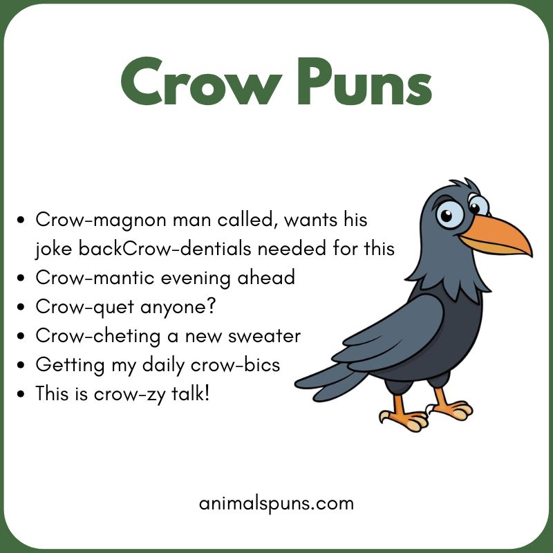 Best Crow Puns of All Time: crow pun illustration