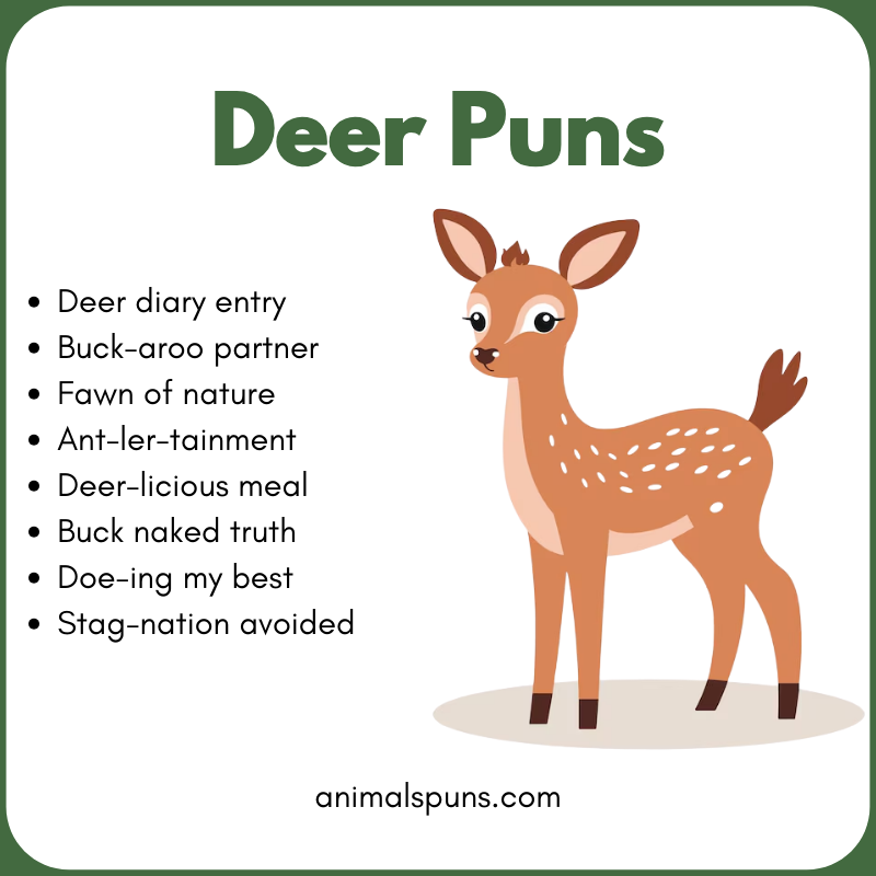 Deer Puns for Kids: deer pun illustration