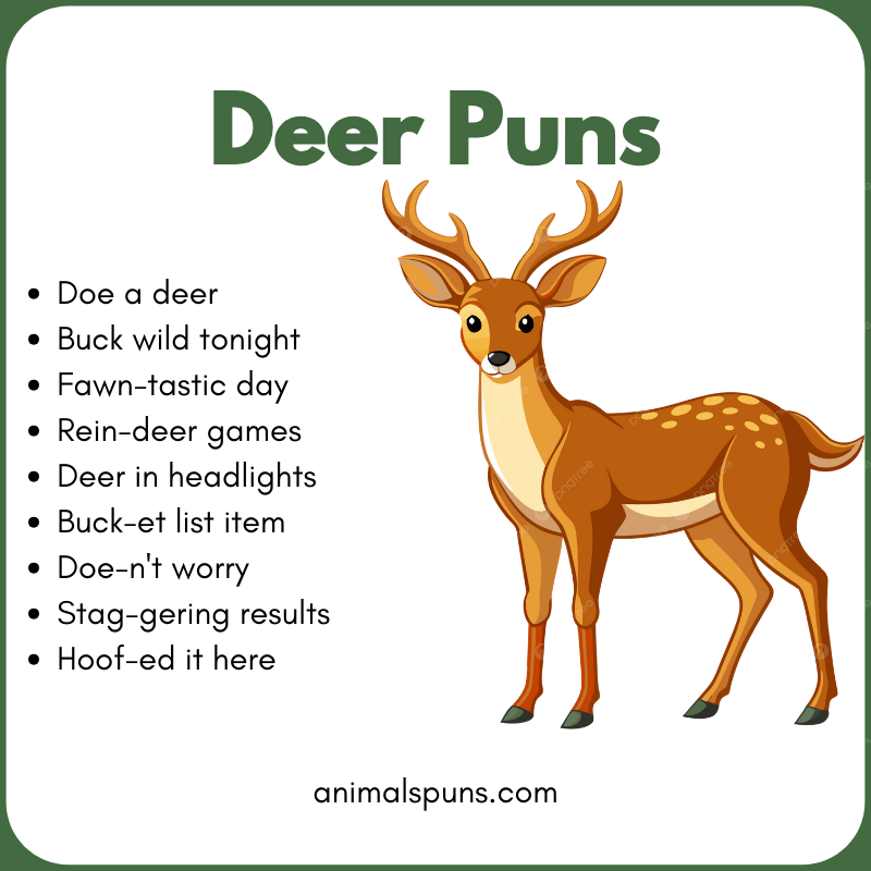 Best Deer Puns of All Time: deer pun illustration