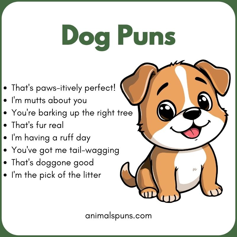 Best Dog Puns of All Time: dog pun illustration
