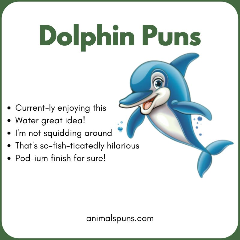 Cute Dolphin Puns: dolphin pun illustration