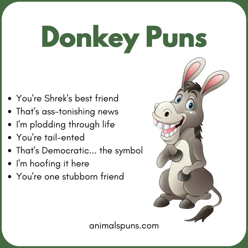 Cute Donkey Puns for Kids: donkey pun illustration