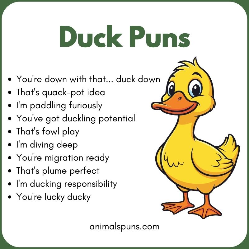 Best Duck Puns of All Time: duck pun illustration
