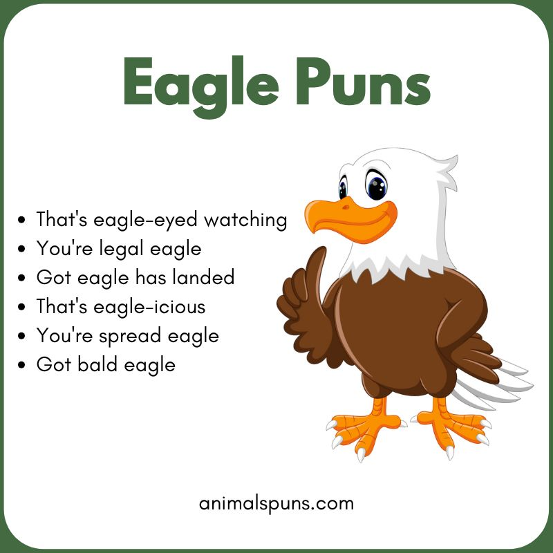 Best Eagle Puns of All Time 🦅: eagle pun illustration
