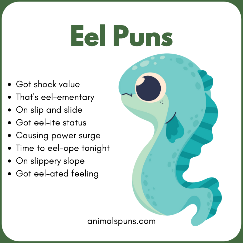 Cute Eel Puns: eel pun illustration