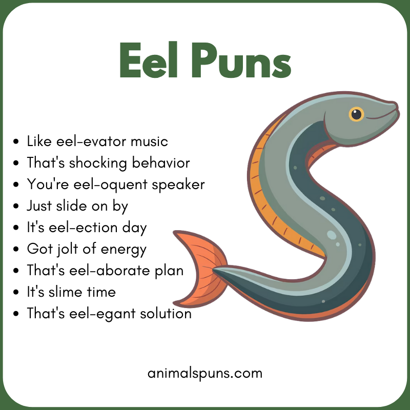 Best Eel Puns of All Time: eel pun illustration