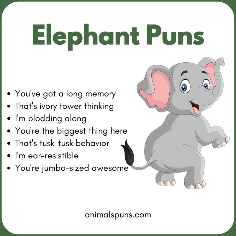Cute Elephant Puns for Kids 🎈: elephant pun illustration