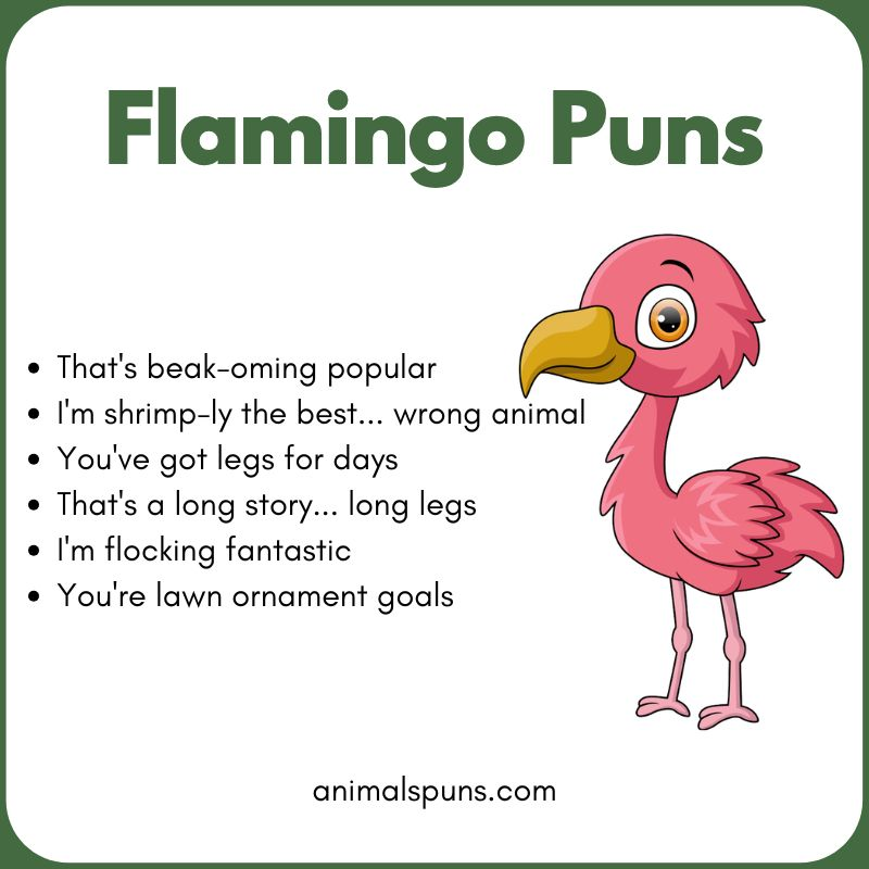 Flamingo Puns for Instagram Captions: flamingo pun illustration