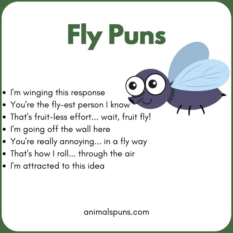 Fly Puns for Instagram Captions: fly pun illustration