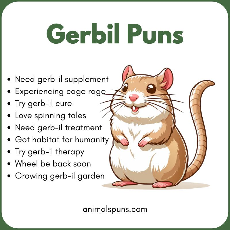 Best Gerbil Puns of All Time: gerbil pun illustration