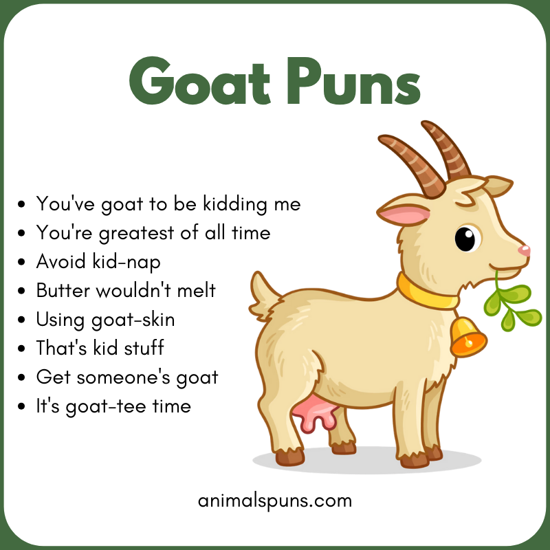 Best Goat Puns of All Time: goat pun illustration