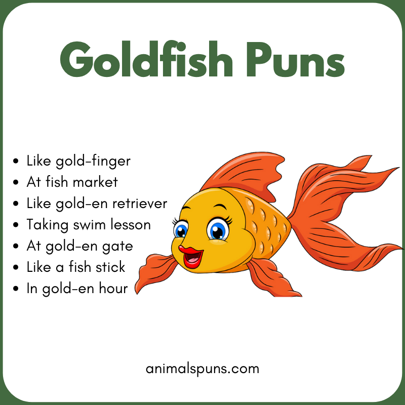 Goldfish Puns for Captions: goldfish pun illustration